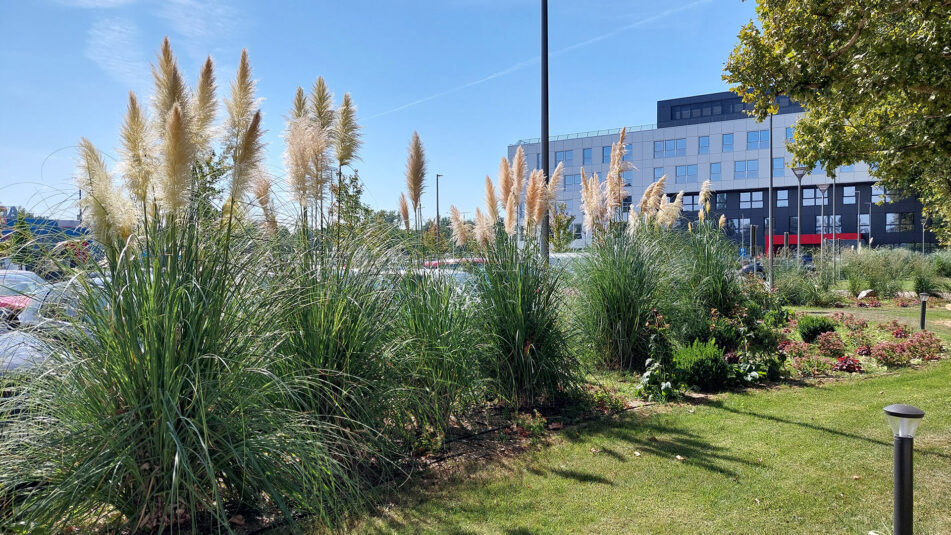 Redovno i investiciono održavanje, zimsko održavanje trotoara, parkin prostora, čišćenje snega.